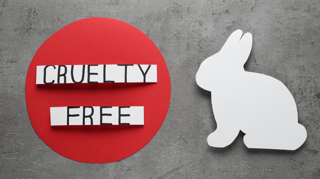 You are currently viewing Jak rozróżnić modę eco od cruelty free?